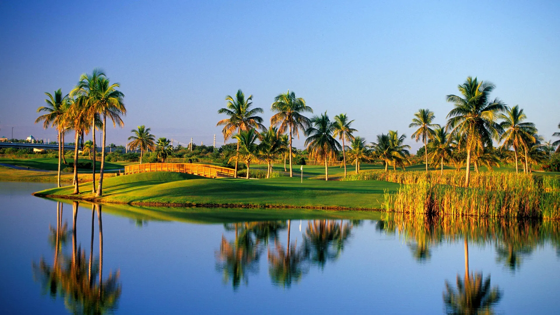 Hilton Ponce Golf & Casino Resort